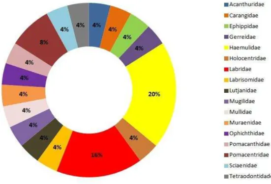 Gráfico 1 - Percentual de contribuição de cada família com base no número total de espécies