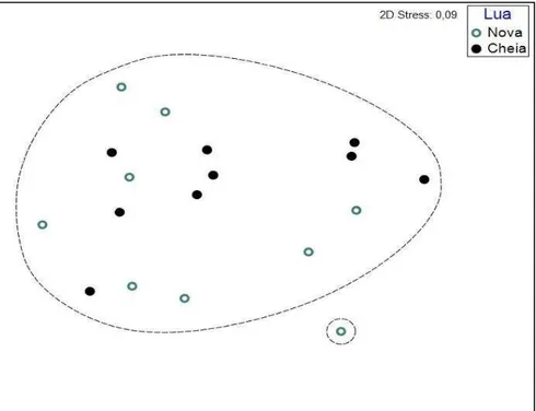 Gráfico  4  -  Escalonamento  multidimensional  não  métrico  (nMDS)  dos  censos  realizados  no  período  noturno,  nas  fases  de  lua  nova  e  cheia,  com  base  nos  dados  de  densidade  média  (indiv/m 2 ) de peixes nos recifes na Praia de Pedra Ra