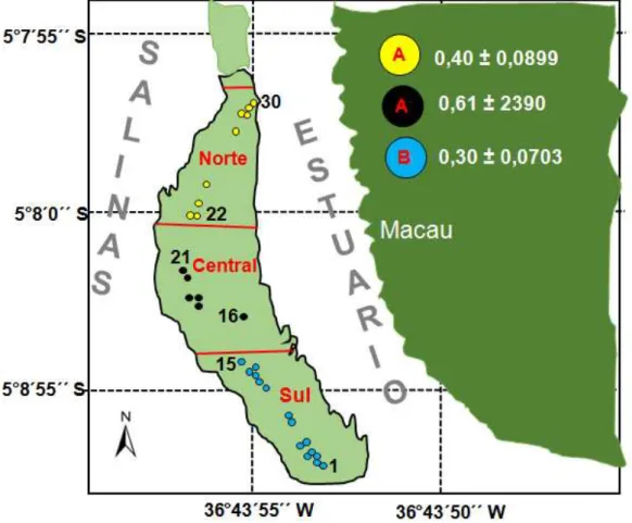 Figura  10  – Mapa  da  área  de  estudo,  mostrando  a  distribução  dos  quadrantes  de  amostragem (1 a 30) e as densidades médias (± intervalo de confiança de 95%) dos  caranguejos  nas  tocas  nas  Regiões  Norte  (amarela),  Central  (preta)  e  Sul 