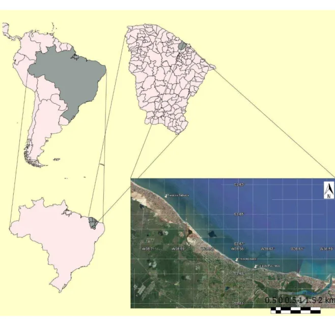 Figura 1. Localização da área de estudo. 