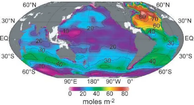 Figura 2-Distribuição não homogênea do CO 2  antropogênico nos oceanos em (mol.m -2 )