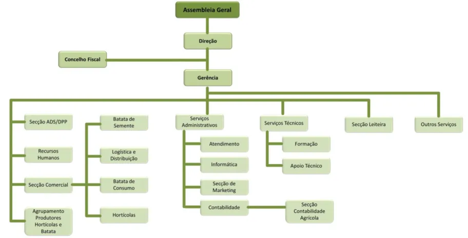 Figura 2 - Organigrama da Cooperativa.