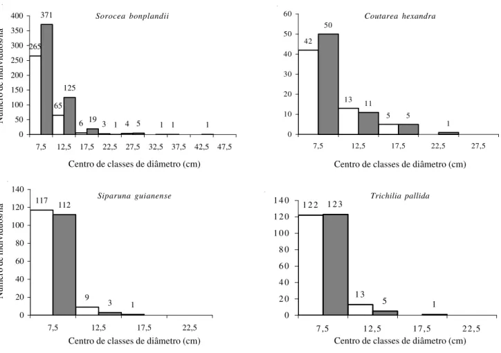 Figura 7. Distribuição do número de indivíduos nas classes de diâmetro da espécie secundária tardia  Protium warmingianum amostradas nos levantamentos realizados em 1984 e 1998 na Mata da Biologia, situada no câmpus da Universidade Federal de Viçosa, Viços