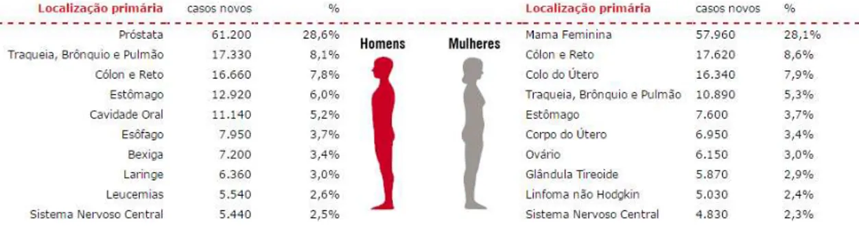Figura 06 - Estimativa da distribuição dos 10 principais tipos de câncer mais incidentes no Brasil em  2016 