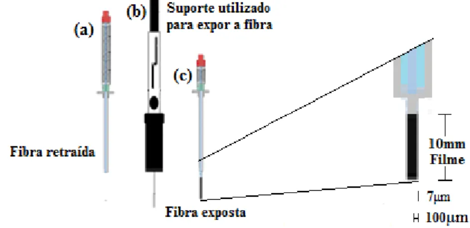 Figura  4  –   Dispositivo  da  fibra  de  MEFS  (a)  fibra  retraída  (b)  suporte  utilizado  para  acomodar e expor a fibra de MEFS (c) fibra exposta