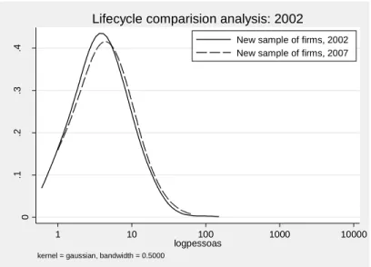 Table 4 – Age class definition by the year of birth of the entrepreneur 