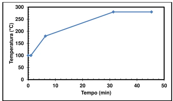 Figura 6 - Programação de temperatura empregada no método cromatográfico. 