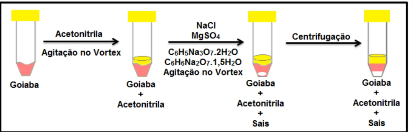 Figura 7 - Etapa de extração com acetonitrila e adição de sais. 
