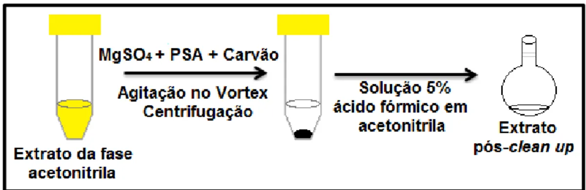 Figura 8 - Etapa de limpeza do extrato da matriz. 
