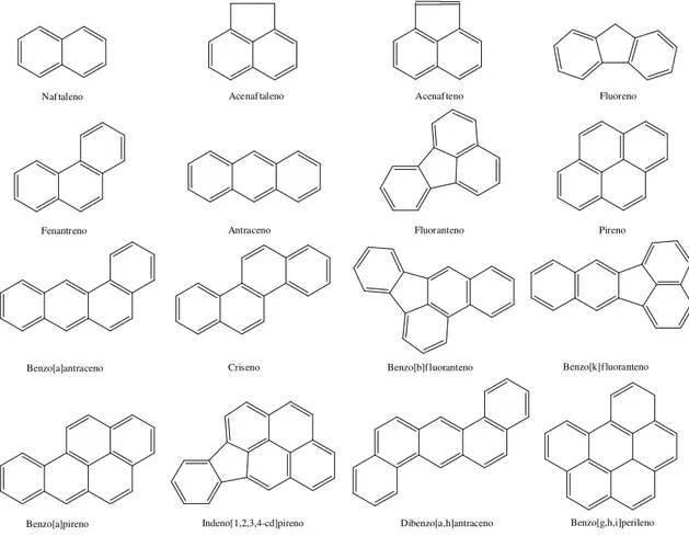 Figura 2 -  Fórmula estrutural dos 16 HPAs estabelecidos como poluentes prioritários  pela EPA