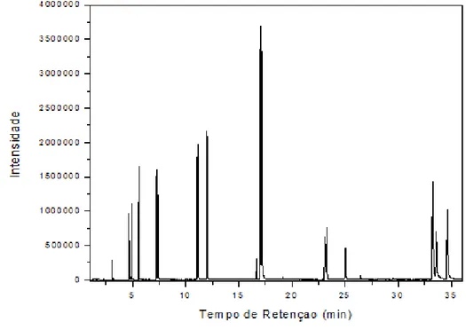 Figura  22  -  Cromatograma  obtido  através  de  MEFS  de  uma  solução  sintética                            1 x 10 2   µg L -1  de cada HPA