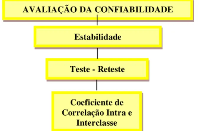 Figura  4  -  Representação  gráfica  das  etapas  da  validade conforme Biering-Sorensen et