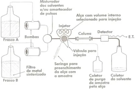 Figura 2 – Sistema cromatográfico para Cromatografia Líquida de Alta Eficiência 