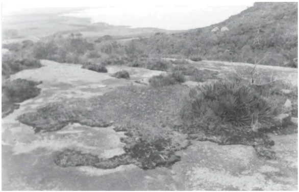 Figura 2. Aspecto da estação Morro da Grota 1  e a presença de ilhas de vegetação recobrindo parcialmente a rocha exposta