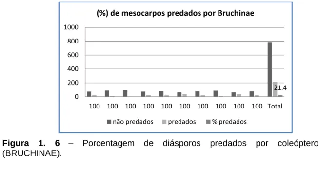 Figura  1.  6 –  Porcentagem  de  diásporos  predados  por  coleópteros  (BRUCHINAE). 