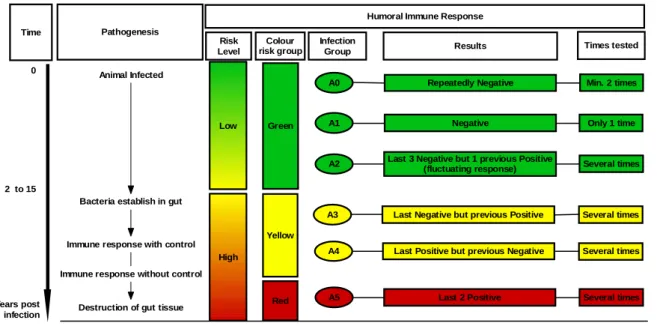 Fig. 1 – Schematic representation of the different risk levels and risk groups from the Danish ParaTB  control Programme regarding the pathogenesis of MAP infection (adapted from Nielsen &amp; Toft (2008)).