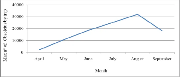 Figure 12: Evolution of the maximum value by month along the study period for Obsoletus  complex