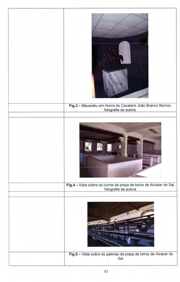 Fig .4  -  Vista sobre  os curros  da praça  de toiros  de  Alcácer  do  Sal, fotoqrafia  da autora.