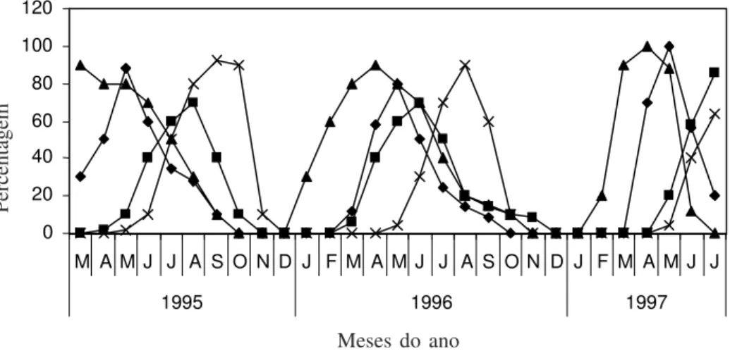 Figura 2. Fenograma de Ipomoea asarifolia na Fazenda Catalunha, durante o período de março/1995 a julho/1997