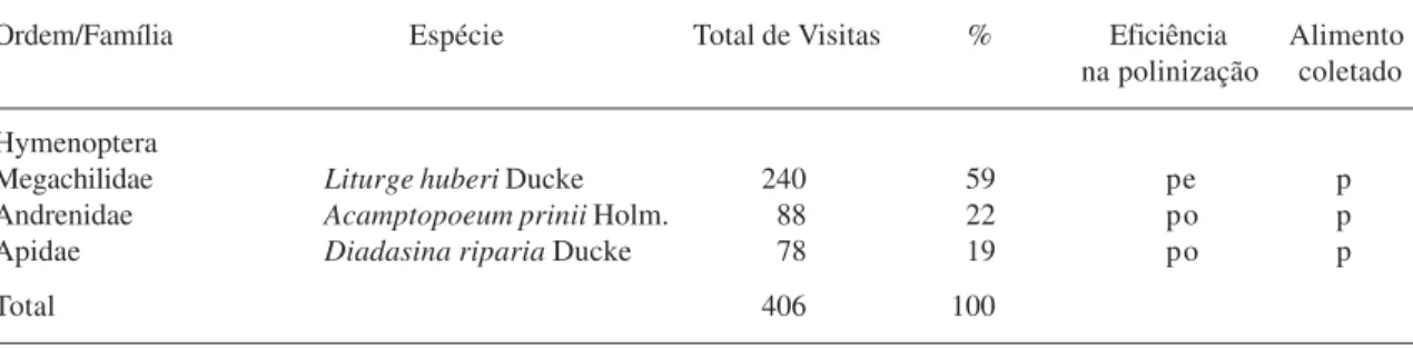 Tabela 1. Visitantes das flores de Ipomoea asarifolia, seus respectivos totais e percentagens de visitas