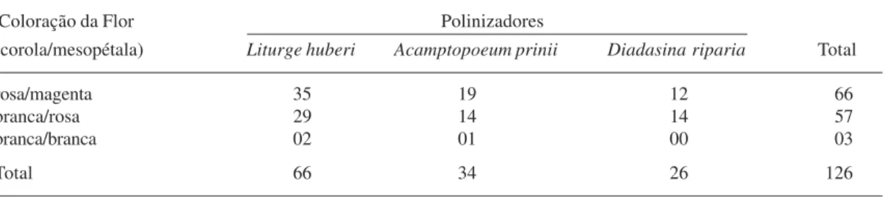 Tabela 2. Comparação do número total de visitas dos agentes polinizadores de Ipomoea asarifolia, em três repetições do período das 8:00 às 10:00h, entre indivíduos com flores de cores diferentes.