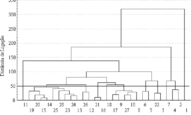 Figura  1.  Dendrograma  representativo  da  dissimilaridade  genética  entre  28  genótipos  de  feijão-caupi,  obtido  pelo  método  da  ligação  média  entre  grupo  (UPGMA),  utilizando-se  a  distância generalizada de Mahalanobis (D²) como medida de d