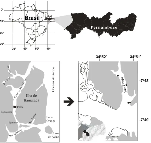 Figura 1. Mapa com a localização da área amostrada no Manguezal do rio Paripe, Recife, PE.Ordem Chroococcales