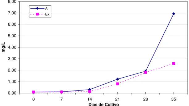 FIGURA 06 – Variação da concentração mediana de Nitrato (mg/L) durante 35  dias de cultivo, sem renovação de água, nos tratamentos “A” e “Ex”