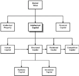 Fig. 6. Intellectual Capital Family Tree  SOURCE: Watson et. al (2005) 