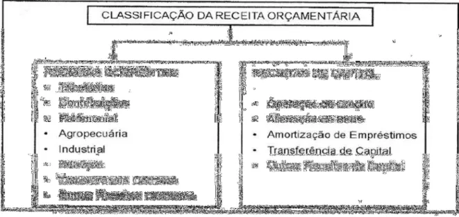 Figura 1 – Classificação da receita orçamentária 