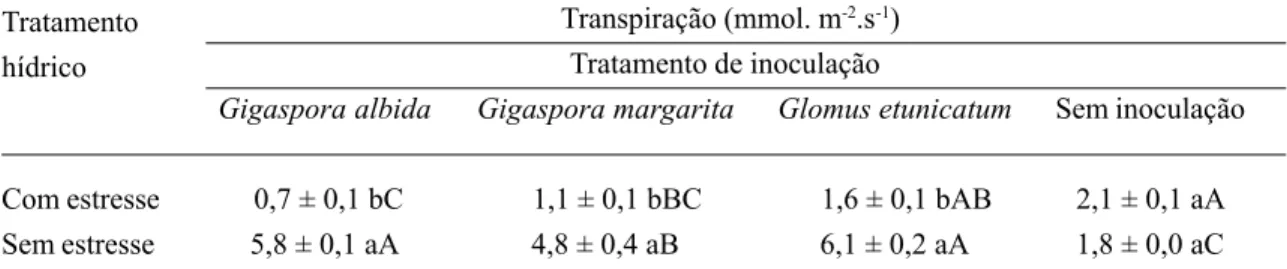 Tabela 6. Efeito da inoculação com FMA sobre a transpiração (E) em mudas de maracujazeiro amarelo submetidas a estresse hídrico por sete dias