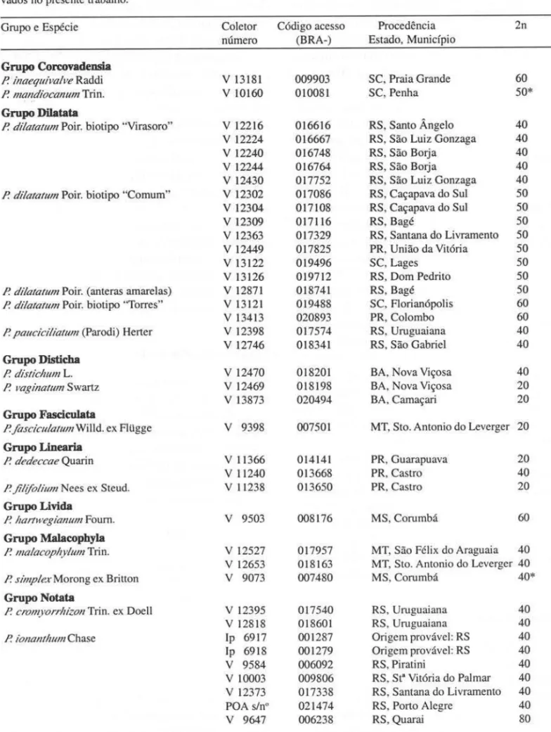 Tabela 1.  Números cromossômicos de acessos de germoplasma brasileiros de espécies de Paspalum (Gramineae), obser- obser-vados no presente trabalho