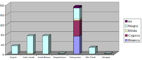 Gráfico 2 - Etnia e nacionalidade dos chefes de família no  Bairro da Quinta da Fonte 