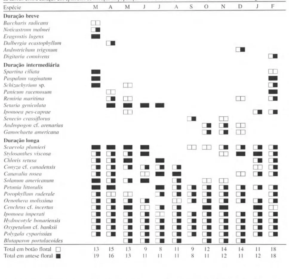Tabela 2.  Fenograma para  floração das espécies de duna frontal  da  Praia da Joaquina