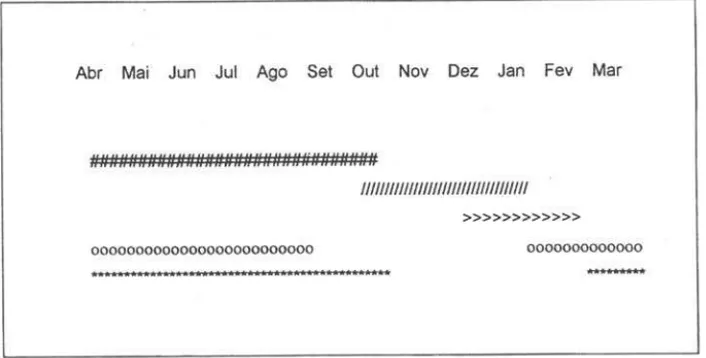 Figura I.  Fenologia de 20 indivíduos de Paepalanthus hilairei no  períod~  de  ~bril  de 1992 a março de 1993