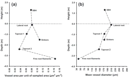 Fig. 3. Variation in anatomical traits in stem at breast height (SBH) and in different root types/sections with depth in the intensively studied Q