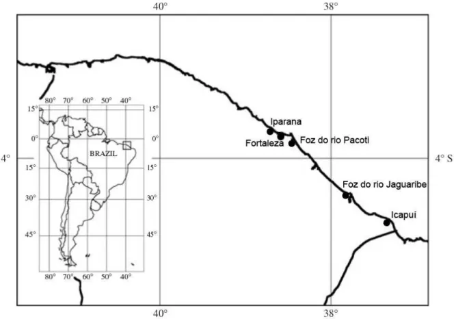 Figura  1  –  Mapa  do  Estado  do  Ceará  com  referência  aos  principais  locais  utilizados  nesse  estudo:  praia  de  Iparana  (poças  de  maré),  foz  do  Rio  Pacoti  (raízes  de  mangue),  foz  do  rio  Jaguaribe (estuário) e município de Icapuí (