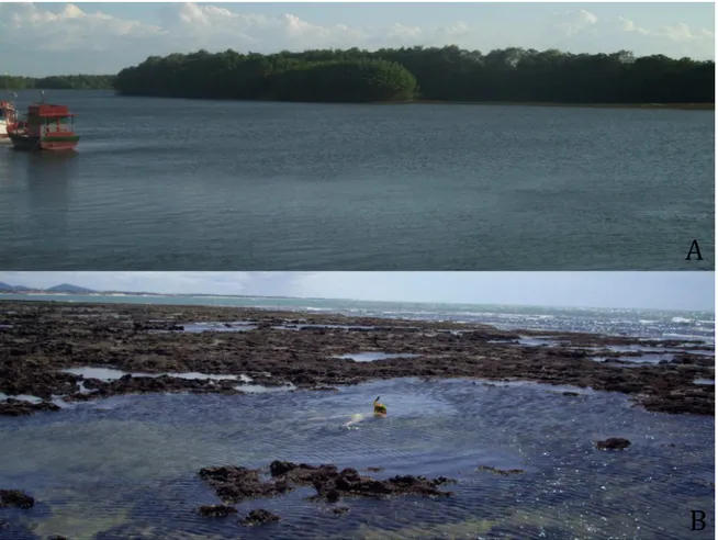 Figura 4 – Rio Jaguaribe (A) e poças de maré em recifes de arenito na praia de Iparana (B) 