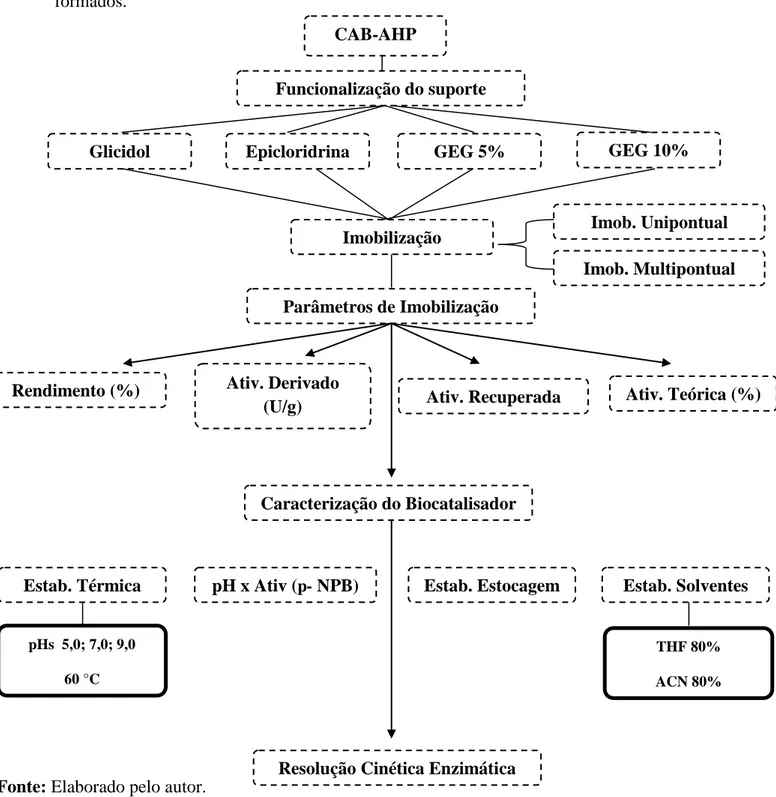 Figura 3.1: Fluxograma dos processos de imobilização e aplicação dos biocatalisadores  formados