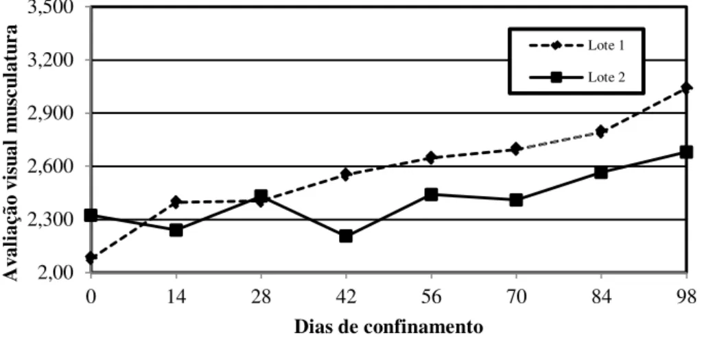 Figura  15.  Avaliação  visual  musculatura  (1-6)  dos  cordeiros  da  Fazenda  Guaiuba,  durante o período de terminação em confinamento, de acordo com os grupos de abate