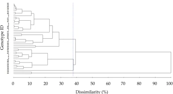 Figure 2. Dissimilarity within 43 C. canephora genotypes using the Mahalanobis distance and the unweighted pair group method with arithmetic mean (UPGMA), considering four root traits (root length density, root volume, root superficial area, and root diame