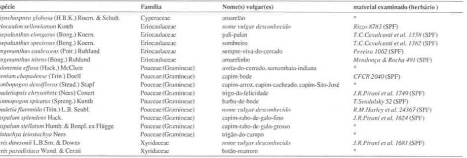 Tabela 4. Espécies de CYPERACEAE, ERIOCAULACEAE, POACEAE (GRAMINEAE) e XYRIDACEAE  comercializadas como &#34;sempre-vivas&#34; em Brasília, DF