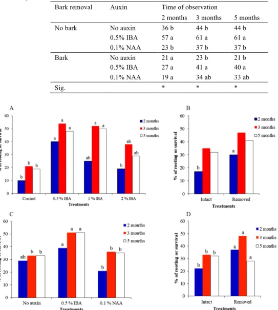 Table 2 -  The effects of auxin application (no auxin, 0.5% IBA and 0.1% NAA) and  basal bark removal (bark and no bark), on rooting (%), after two and three months (A),  and  on  survival  (%),  after  five  months  (B),  for  Experiment  2