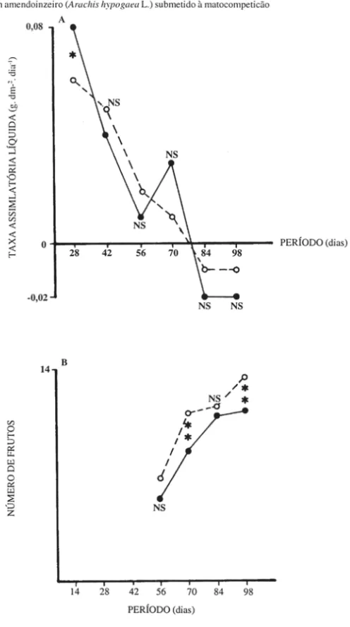 Figura 7 - Efeitos da interferência da comunidade infestante sobre a taxaassimilatória líquida (A) e o número  de frutos  (B)  de plantas de amendoinzeiro  (Arachis hypogaea  L.), em diferentes  períodos  de  desenvolvi-mento da cultura; (*) significativo 
