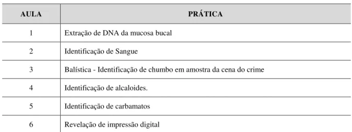 Tabela 2 - Lista das aulas práticas realizadas na oficina. 