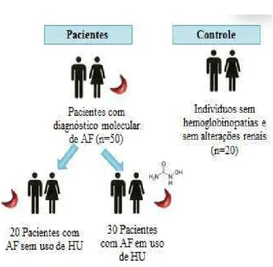 Figura 4: Amostragem do estudo. 