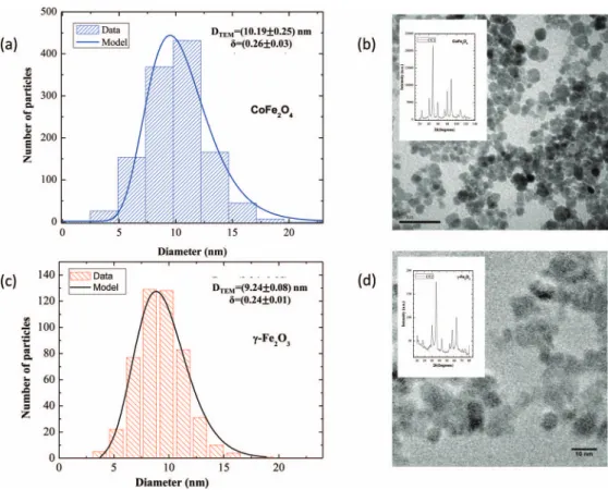 FIG. 2. Morphological characterization. TEM micrographs for cobalt ferrite (b) and maghemite (d); the inset illustrates data from X Ray diffraction