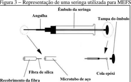 Figura 3 − Representação de uma seringa utilizada para MEFS 