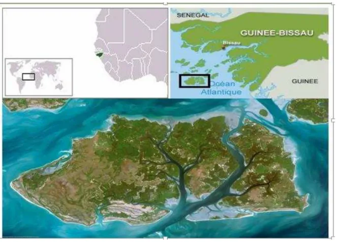 Figura 1 – Localização geografica da área de estudo 