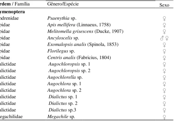 Tabela  3:  Visitantes  florais  da  soja  (Glycine  max  (L.)  Merril)  coletados  no  município  de  Limoeiro  do  Norte-CE